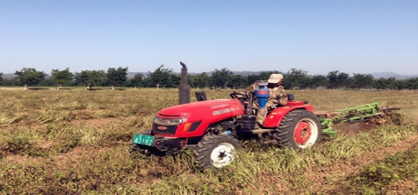 金秋時節(jié)、三地聯(lián)動、正業(yè)花生喜迎大豐收！