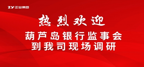 【聚焦產(chǎn)業(yè)升級(jí)】葫蘆島銀行監(jiān)事會(huì)赴正業(yè)集團(tuán)專項(xiàng)調(diào)研
