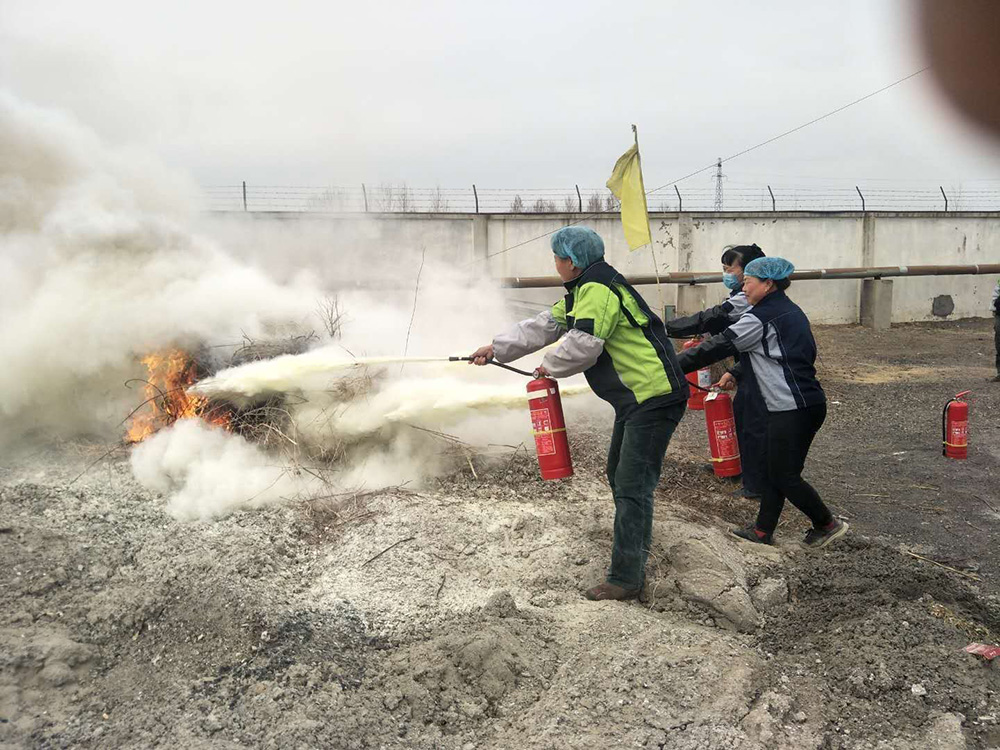 “普及消防知識(shí)，提高應(yīng)急能力” ——花生公司開(kāi)展消防演練培訓(xùn)活動(dòng)(圖2)