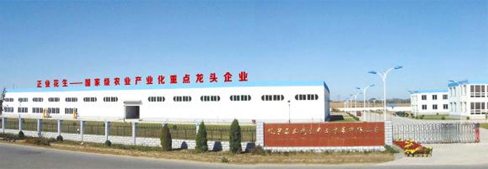 遼寧正業(yè)花生產(chǎn)業(yè)：共抗疫情，龍頭企業(yè)顯擔當！(圖1)