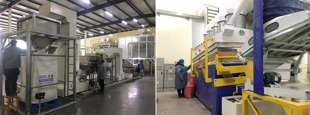 遼寧正業(yè)花生產(chǎn)業(yè)：共抗疫情，龍頭企業(yè)顯擔當！(圖5)