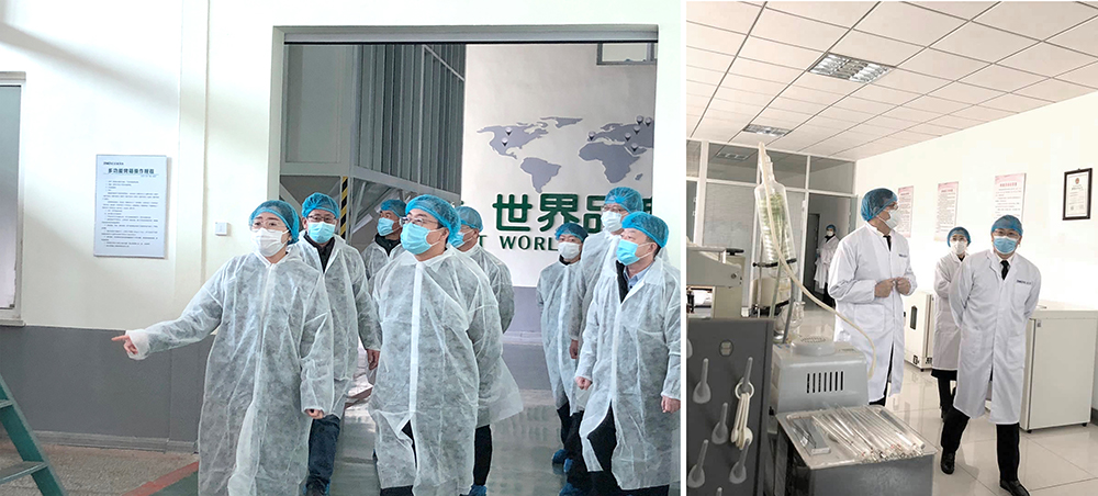 葫蘆島、興城兩市領(lǐng)導(dǎo)蒞臨正業(yè)花生產(chǎn)業(yè)調(diào)研指導(dǎo)(圖1)