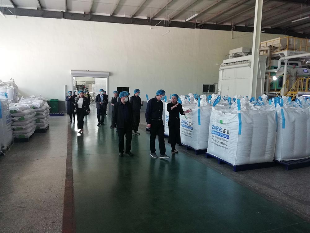 省農(nóng)業(yè)農(nóng)村廳領(lǐng)導(dǎo)蒞臨花生公司考察指導(dǎo)(圖3) 省農(nóng)業(yè)農(nóng)村廳領(lǐng)導(dǎo)蒞臨花生公司考察指導(dǎo)(圖3)