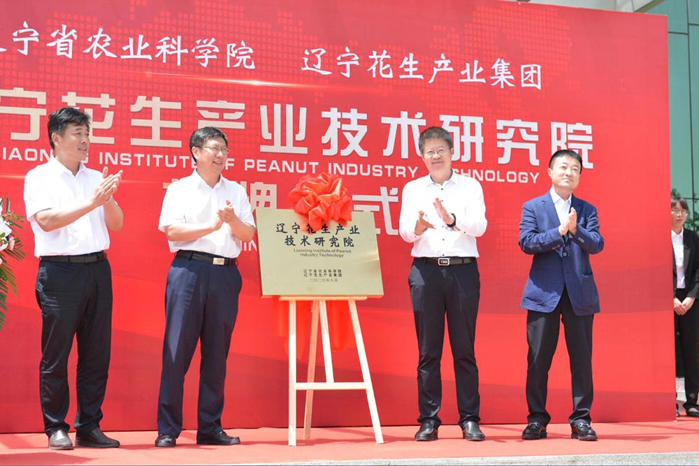遼寧花生產(chǎn)業(yè)技術(shù)研究院揭牌儀式隆重舉行(圖4) 遼寧花生產(chǎn)業(yè)技術(shù)研究院揭牌儀式隆重舉行(圖4)