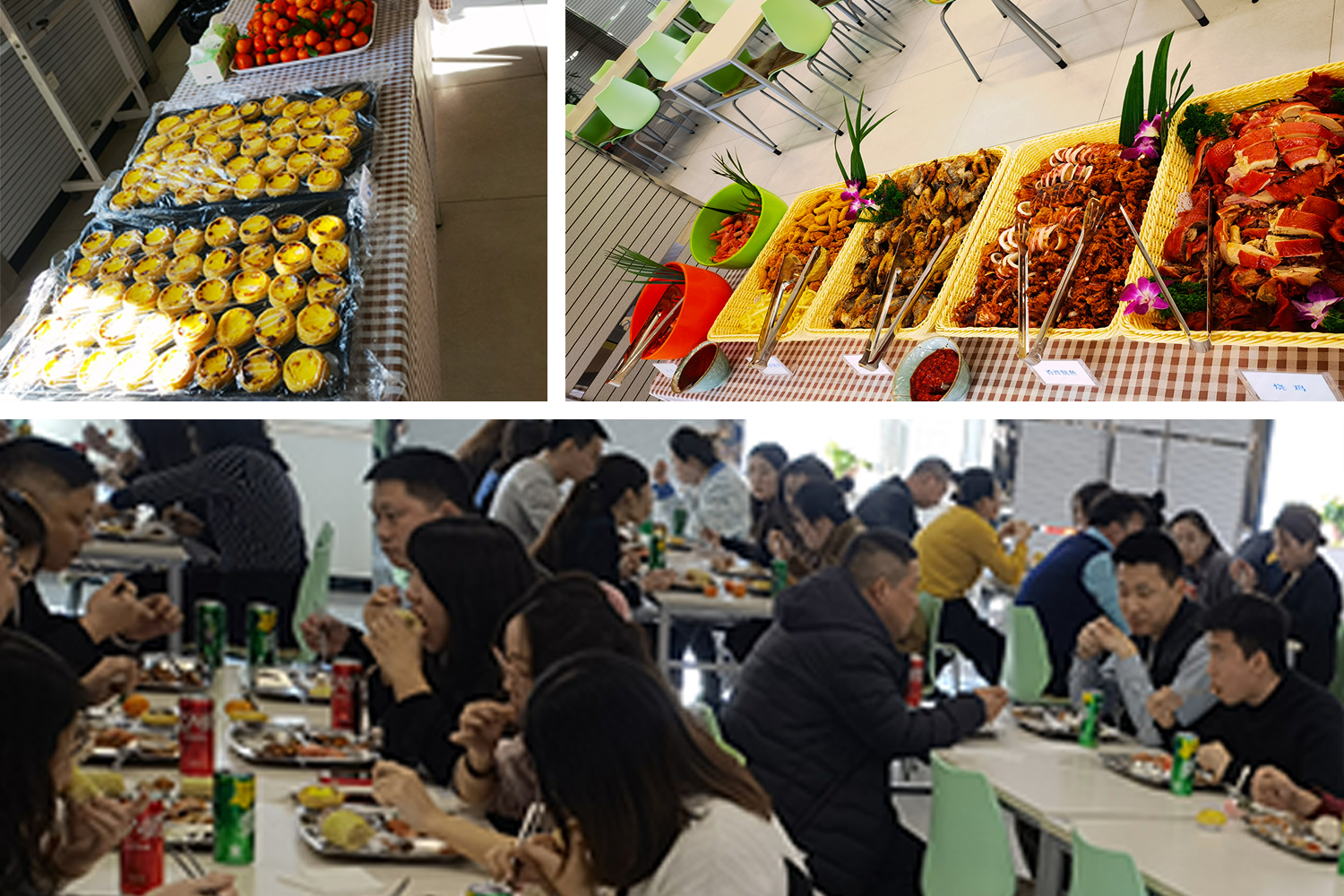 逐夢遠航在正業(yè)——2021年度正業(yè)集團表彰大會圓滿召開(圖11) 逐夢遠航在正業(yè)——2021年度正業(yè)集團表彰大會圓滿召開(圖11)