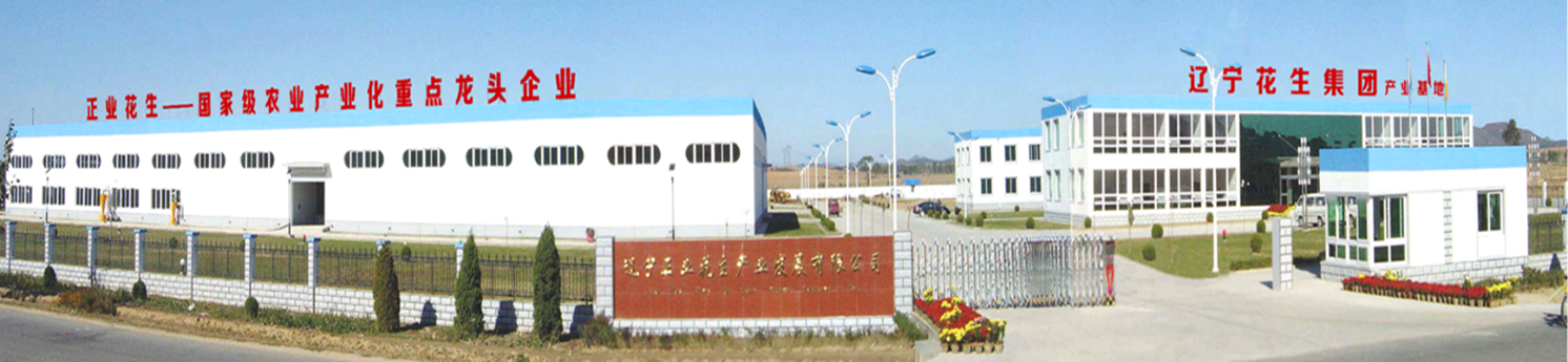 遼寧花生集團(圖1) 遼寧花生集團(圖1)