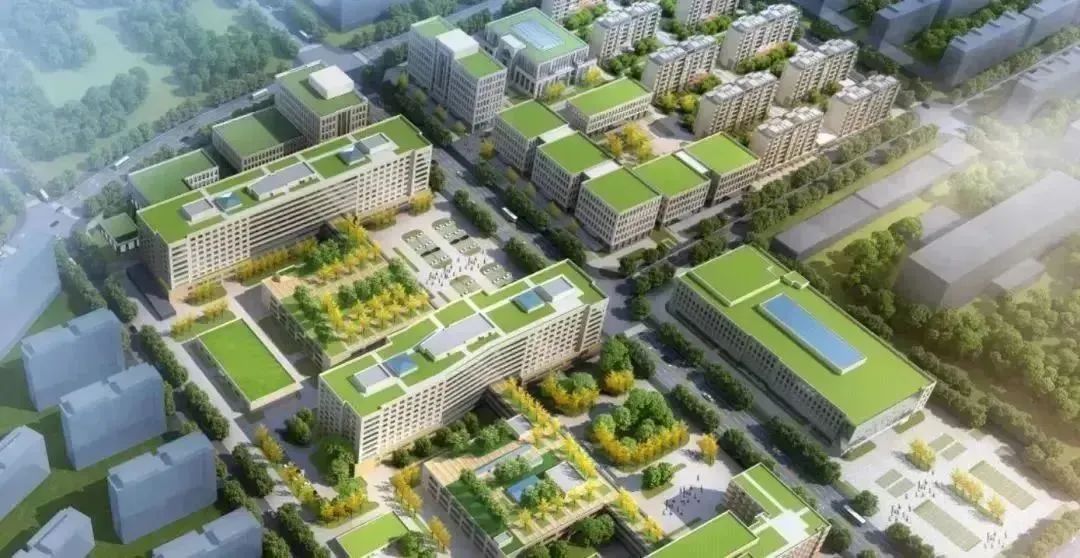 龍港區(qū)人大、區(qū)政府領(lǐng)導(dǎo)一行視察調(diào)研龍港國際醫(yī)療健康產(chǎn)業(yè)園(圖23)